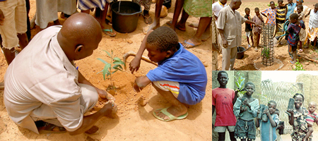 31社の協力で430本分の植樹活動をアフリカで行うことになりました。