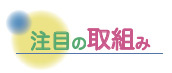 注目の取組み