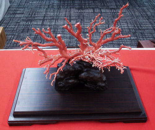 珊瑚の工芸品