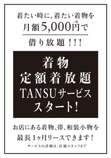 ベーシックプランは月額5000円