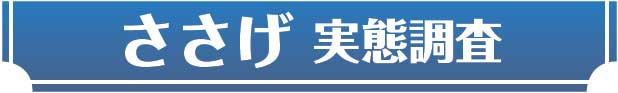 ささげ実態調査