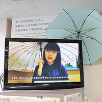 傘ガール！女子中学生が傘シェア活動