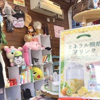 eco shop おっぽのお、エコなお店で「醗酵ドリンク教室」