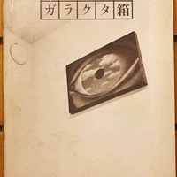 思い出の一冊【19回】BOOKS 青いカバ、ビジネス書の中に言葉遊びの本