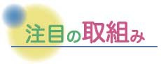 注目の取組み