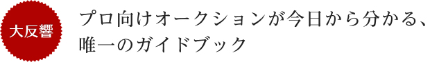プロ向けオークションが今日から分かる、唯一のガイドブック