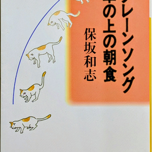 思い出の一冊【50回】ラフトラックブックストア、小説の中の時間と現実がシンクロ