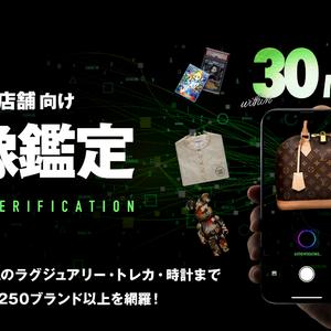 IVA　法人向け「画像鑑定」提供